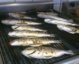 Ψάρι στη σχάρα